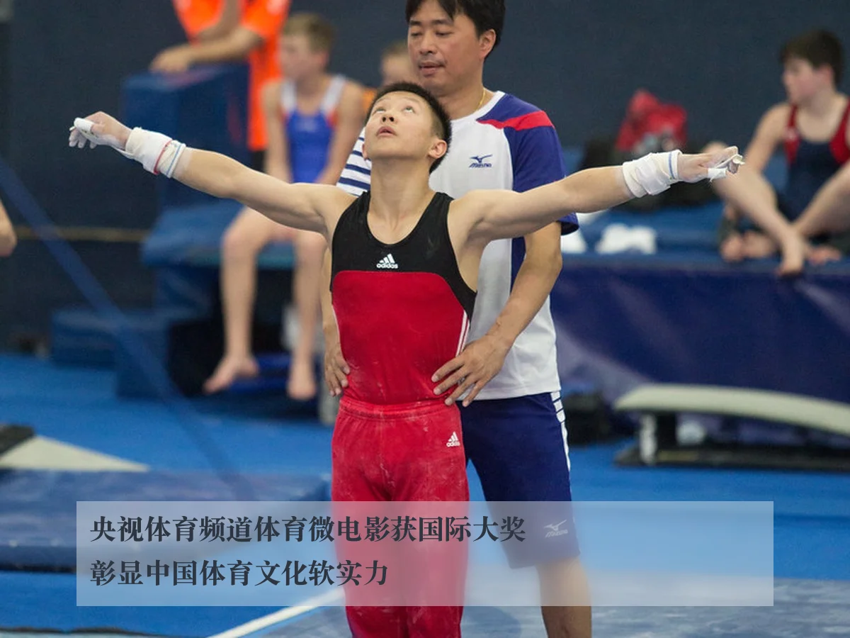 央视体育频道体育微电影获国际大奖彰显中国体育文化软实力